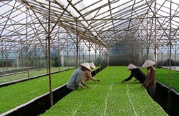 Agribank góp phần phát triển bền vững nông nghiệp ĐBSCL